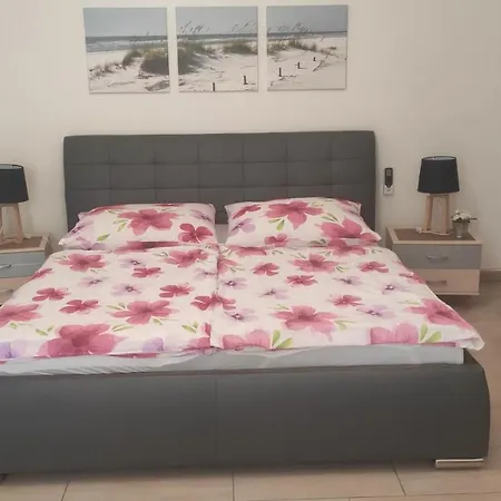 Patricia 希欧福克